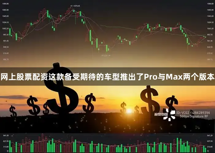 网上股票配资这款备受期待的车型推出了Pro与Max两个版本